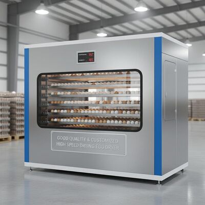 Mesin Pengering Telur Berkecepatan Tinggi Berkualitas Baik dan Dibuat Khusus